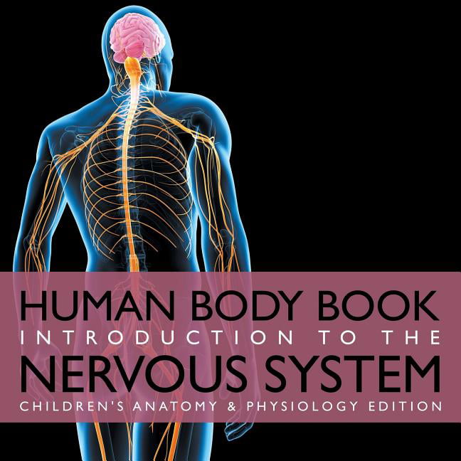 Human Body Book Introduction to the Nervous System Children's Anatomy