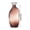 S1-3, variant on Brown Retro Glass Vase Plant Flowers Bottle Flower Arrangement Hydroponic Terrarium Desktop Vase Creative Home Decor Flower Pot