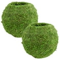 thumbnail image 1 of Arcadia Garden Products 8.5x7.5" Kokedama, Set of 2, 1 of 5