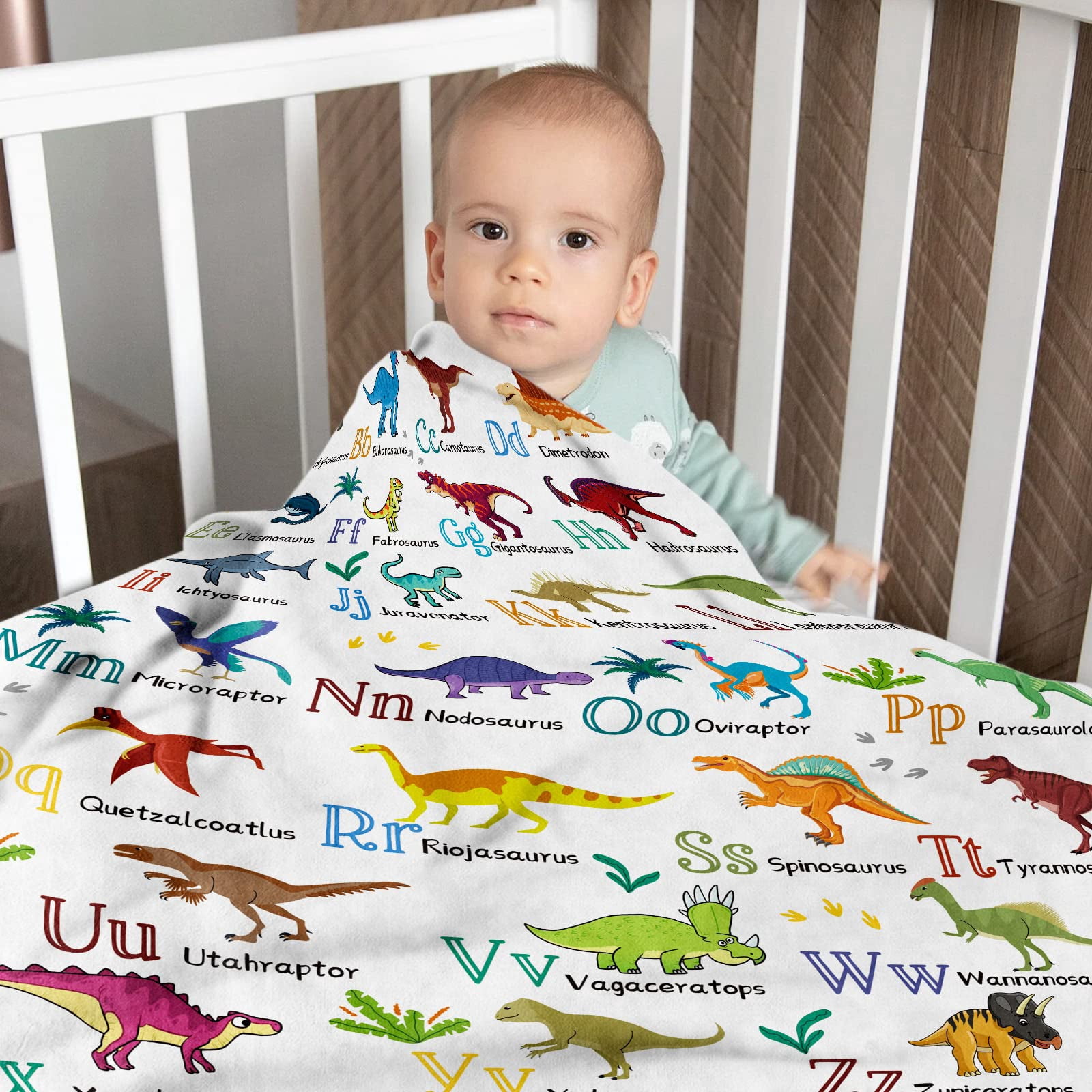 Kainsy Dinosaur Blanket Kids, Dino Throw Blanket for Boys, Soft Cozy Flannel Dinosaur Throw Blankets, Fluffy Fleece Jurassic Theme Dinosaur Alphabet Blanket for Teen Girl Gift Sofa School,(50"x60")