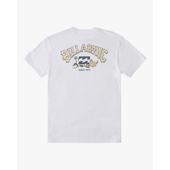 Billabong Men's Theme Arch Fill Premium Tee T-Shirt in White (Small, White)