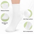 thumbnail image 6 of Women's Socks Ankle 12-Pairs Soft Moisture-Wicking Sock, Value Womens Size 6-10 Cotton White, 6 of 9