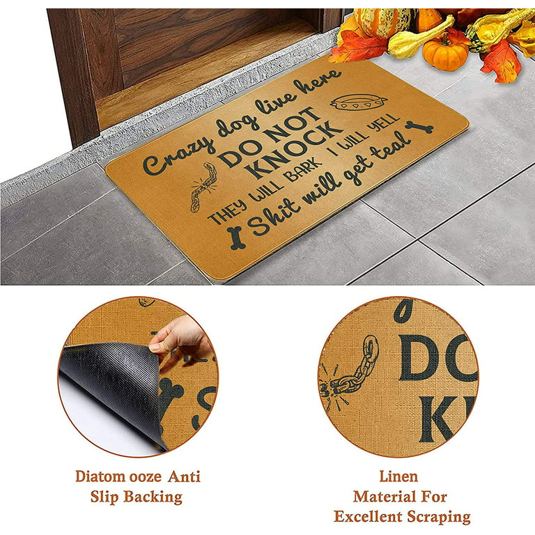  Outdoor Door Mats for Outside Entry Strangers Not