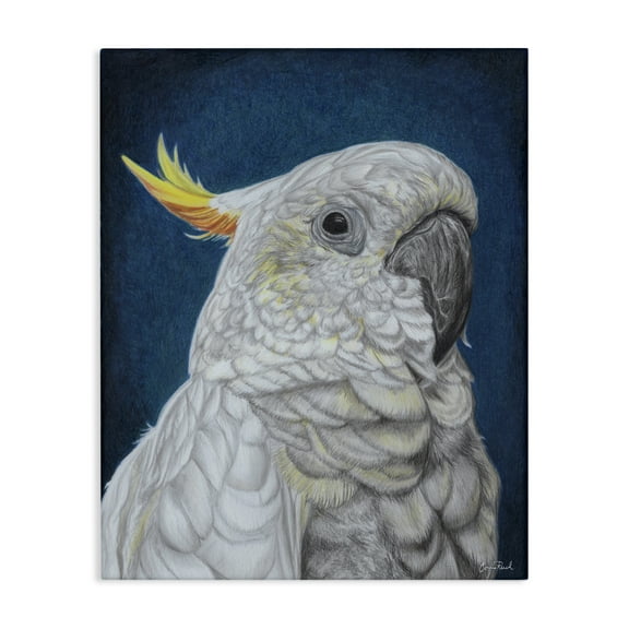 Stupell Industries Traditional Cockatoo Visage Animals & Insects Painting Gallery Wrapped Canvas Art Print Wall Art, 16 x 20
