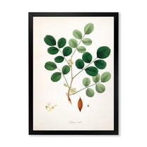 Designart 'Ancient Plant Life XI' Farmhouse Framed Art Print
