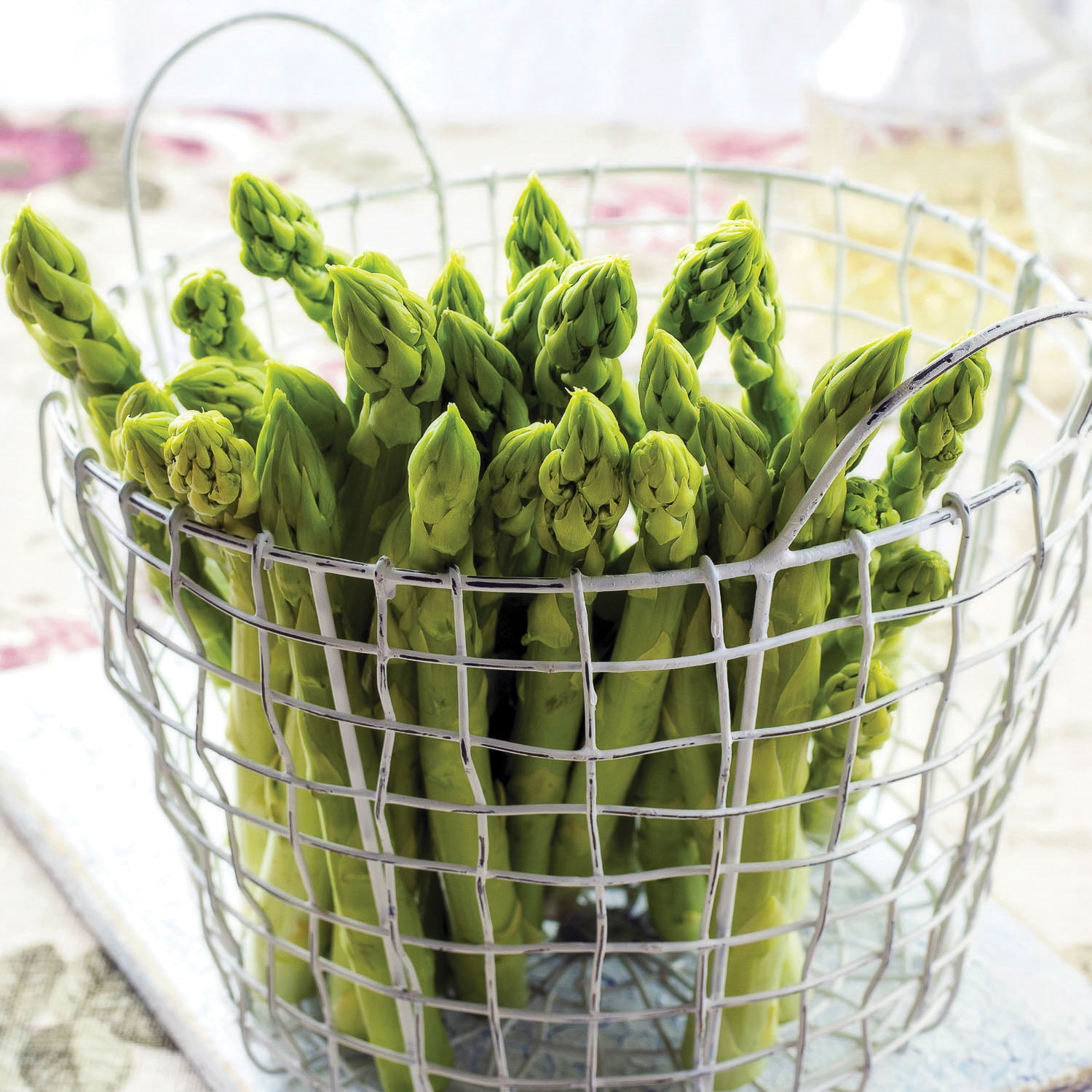 Expert Gardener Mary Washington Asparagus Dormant Plant Roots, Set of 4, Perennial, Full Sun
