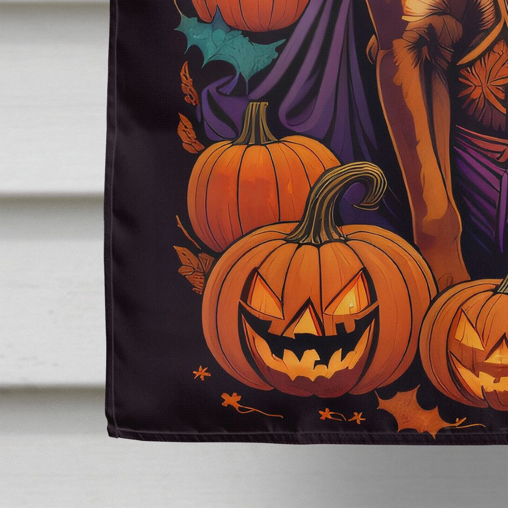 Halloween Boxer Dog House Flag 28x40IN Double-Sided Polyester Decorative Sleeve Pole Flag for Outdoor Home Garden