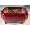 thumbnail image 1 of Bonsai Boy L353 Ceramic Bonsai Pot, Parisian Red - Rectangle, 1 of 1