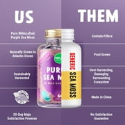 Maju Superfoods Purple Sea Moss Mineral Supplement Immune, Bone & Joint Support 60 Count 60 Capsules