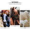 thumbnail image 3 of TABLETREANDS Herramienta De Para Caballo Con Resistentes Para Quitar, 3 of 8