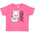 thumbnail image 3 of Inktastic My Great Aunt Loves Me- cute and happy llama Boys or Girls Baby T-Shirt, 3 of 5