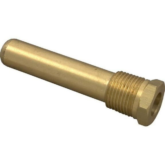 Hayward Thermostat Thermowell 2-7-8in. Long CHXTBW1930