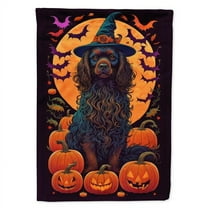 Boykin Spaniel Witchy Halloween House Flag 28 in x 40 in