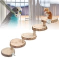 thumbnail image 2 of Hamster Ladder, Hamster Toy, Climbing Stairs 5 Layers Small Parrots For Small Pets, 2 of 8