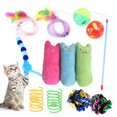 thumbnail image 1 of Juego De Juguetes Para Gatos De 12 Piezas Juguetes Divertidos Para Mascotas Bola De Campana Juguete En Espiral Juguete Para Dedos Surtido Gato Juguete Interactivo Para Gatos Para Gatitos Accesorios seitruly PT002258-00, 1 of 6