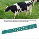 thumbnail image 3 of 10 Pcs Cow Pedometers TPU Estrus Warning Pedometers for Farm Management, 3 of 4