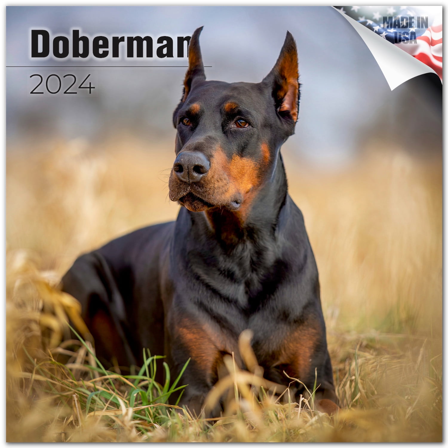 2023 2024 Doberman Calendar Dog Breed Monthly Wall Calendar 12 x 24