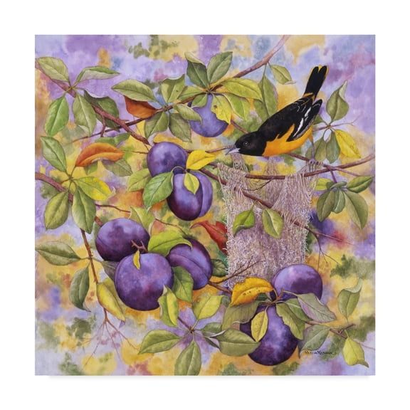 Trademark Fine Art 'Oriole And Plums' Canvas Art by Marcia Matcham