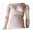 thumbnail image 3 of Female Nursing Skills Training Manikin Patient Care Manikin Education Teaching Model, 3 of 8