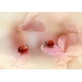 thumbnail image 2 of Van Deelen, Ellen 32x24 White Modern Wood Framed Museum Art Print Titled - Ladybirds On Pink Hydrangea., 2 of 4