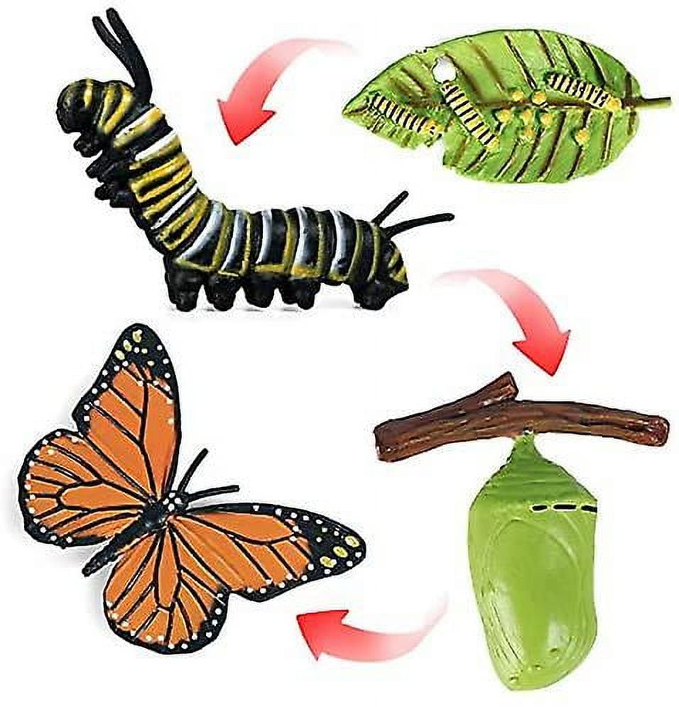 Figuras Del Ciclo De Vida De La Mariposa, Set De 4 Modelos Realistas De Insectos, Juguete Educativo De Ciencia Para Niños Y Colegios