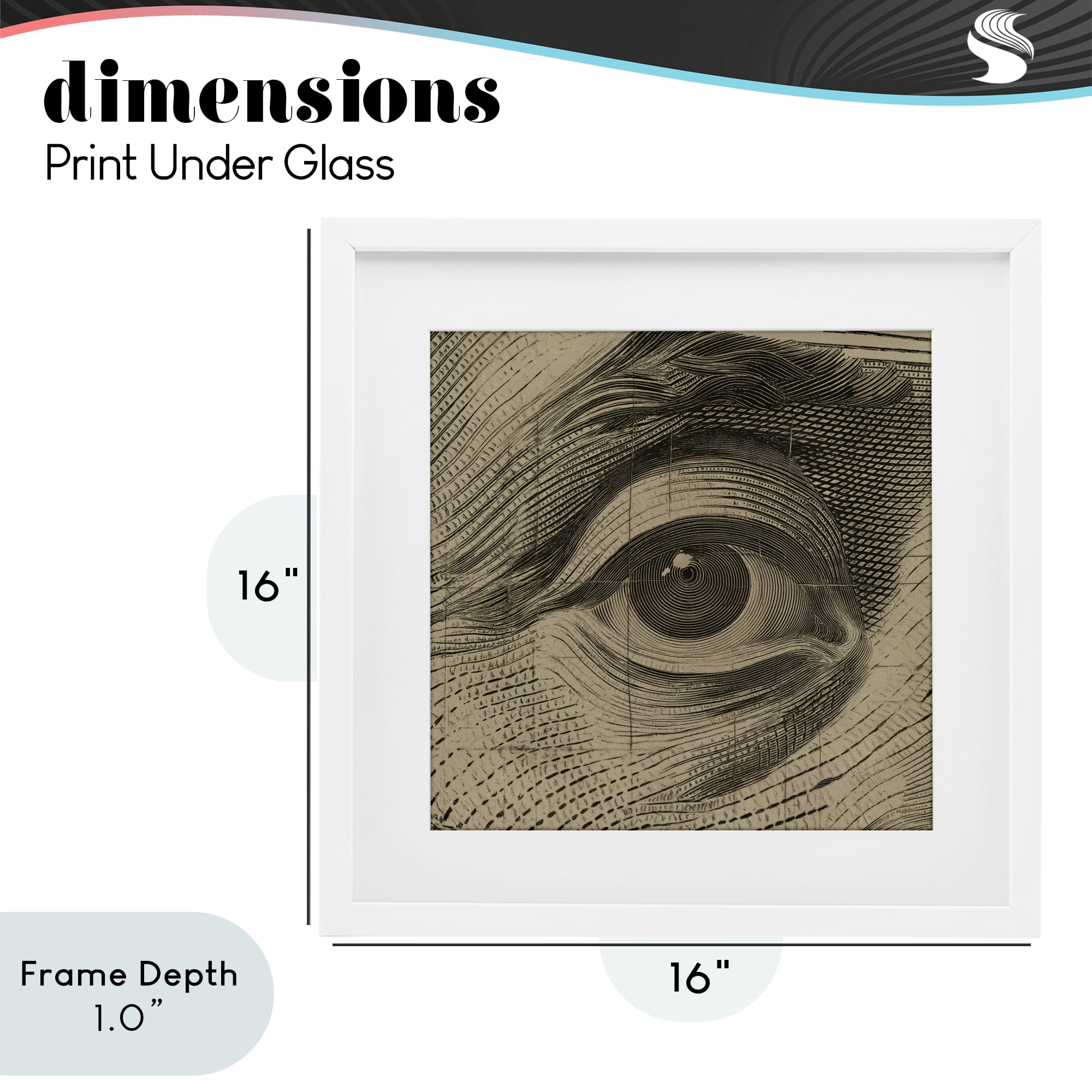 Stupell Industries Franklin's Gaze Eye White Framed Print Under Glass, design by Svetlana Aleynikova