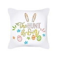 thumbnail image 1 of EGNMCR Pillow Cases, Pillow Covers Easter Peach Skin Pillowcase Rabbit Cushion Cover Living Room Decor Pillowcase small cushion, 1 of 1