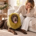 thumbnail image 5 of Halloween Holiday Decor Plush Sized Interesting Costume Headwear For Home Party And Seasonal Celebration, 5 of 5