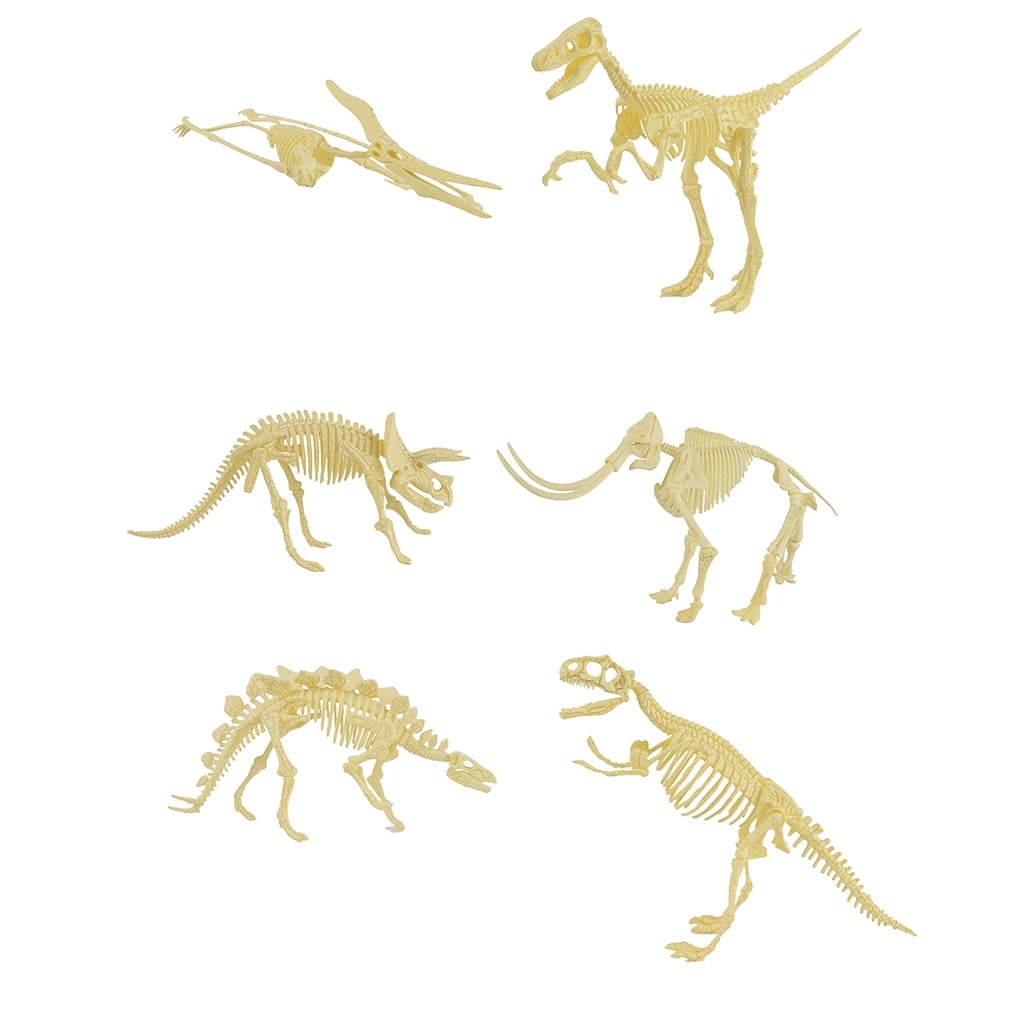 dinosaur skeleton toy