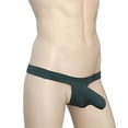 thumbnail image 3 of Tanga de hombre de seda fina de hielo, pantalones de hombre, ropa interior sexy para hombre, 3 of 5
