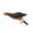 #379-C, variant on Kieccall Acrylic Yard Art Double-Sided Chicken Decoration - Simulated Garden Stake For Outdoor Ground Insert