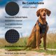 thumbnail image 2 of Arnés para perros Funfox, tamaño mediano, ajustable, negro, 2 of 8