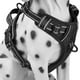 thumbnail image 3 of Arnés para perros sin tirones, chaleco ajustable acolchado para mascotas, arnés para perros grandes que entrenan o caminan, tamaño 75 105CM, Color negro, 3 of 5