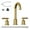 Brushed Gold, variant on 8" Widespread Bathroom Faucet - Brushed Nickel, Includes Pop-up Drain, gold