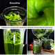 thumbnail image 4 of Licuadora Para Cocina Lagom Vaso Irrompible De 2l Bpa Tapa Antiderrame 1350w Negro Sc6000, 4 of 5