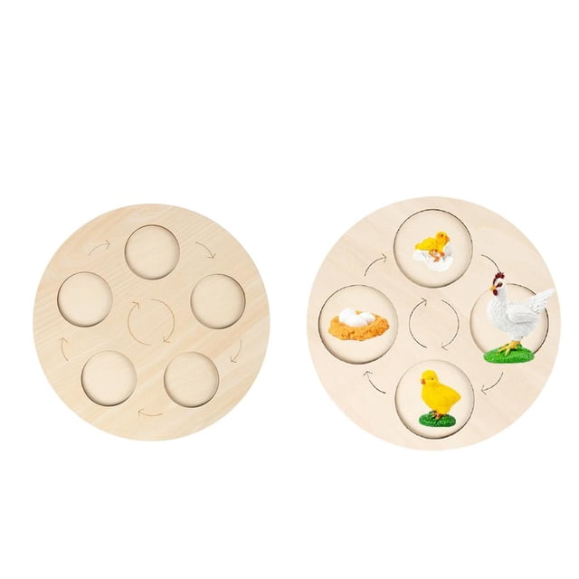 Tablero de ciclo de vida CUTICAT Montessori de 2