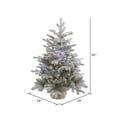 thumbnail image 2 of Vickerman 36" Frosted Sable Pine Artificial Christmas Tree, Multi-Colored Dura-Lit® LED Lights., 2 of 3