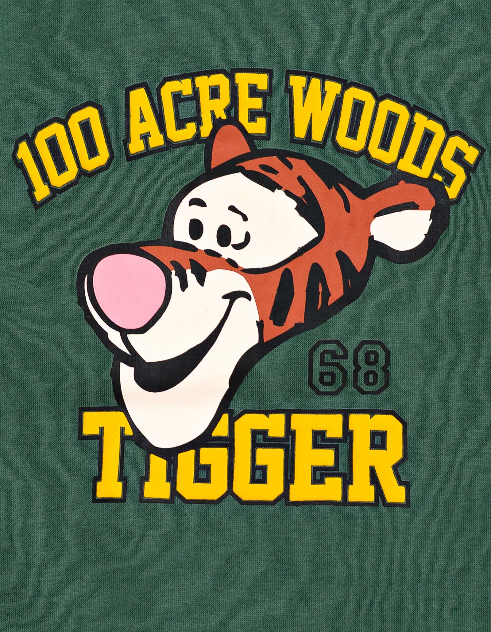 Disney Winnie the Pooh Baby Boys' Fleece Sweatshirt and Pants Set Tigger Dark Green