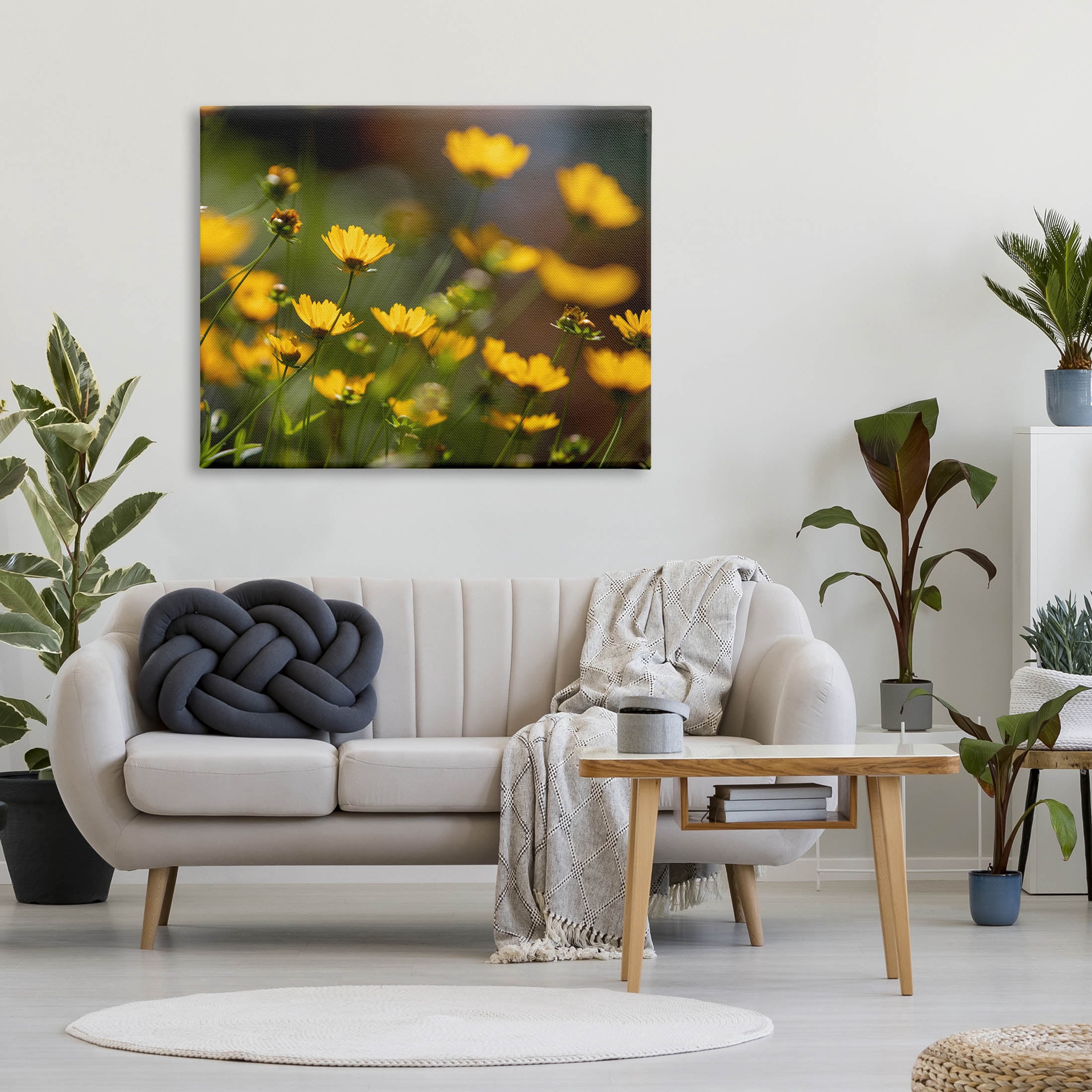 Yellow Daisy Wildflower Field Botanical & Floral Photograph Gallery Wrapped Canvas Print Wall Art