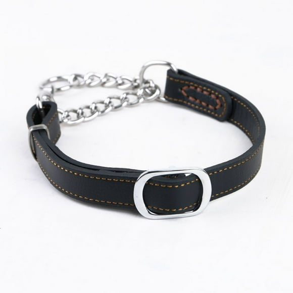Biothane Martingale Collar, Weatherproof and Odorproof for All Seasons, Comfortable for Your Dog's Neck with Adjustable Features