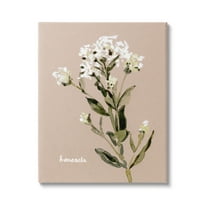 Stupell Industries Boneset Flower Sprig Nature Botanical & Floral Painting Gallery Wrapped Canvas Print Wall Art