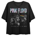 thumbnail image 4 of Pink Floyd Distressed Group Shot Prism on Black Short Sleeve Adult Crop T-Shirt-Large, 4 of 7