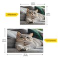 thumbnail image 5 of WOBOGO Cute English Shorthair Cat Puzzle Challenge 500 Piece Jigsaw Suitable for Game Night Finished Size 20.5 x 14.9in, 5 of 9