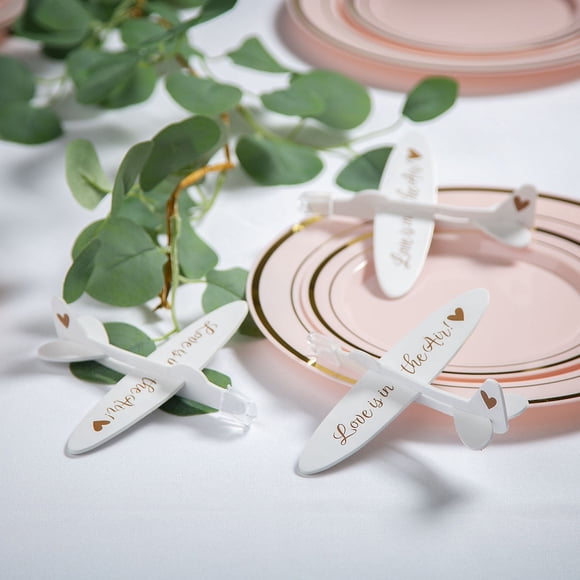 EcoNesxp Airplane Wedding Favor Express Fun