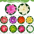 thumbnail image 2 of EP Artificial Lotus Flowers Water Lilies for Pond Pool, 10 Pcs Realistic Floating Foam Lotus Flowers with Lily Pads for Ponds,4"and 6"Large Lifelike Water Lilies for Fountain Garden Pond Decoration, 2 of 7