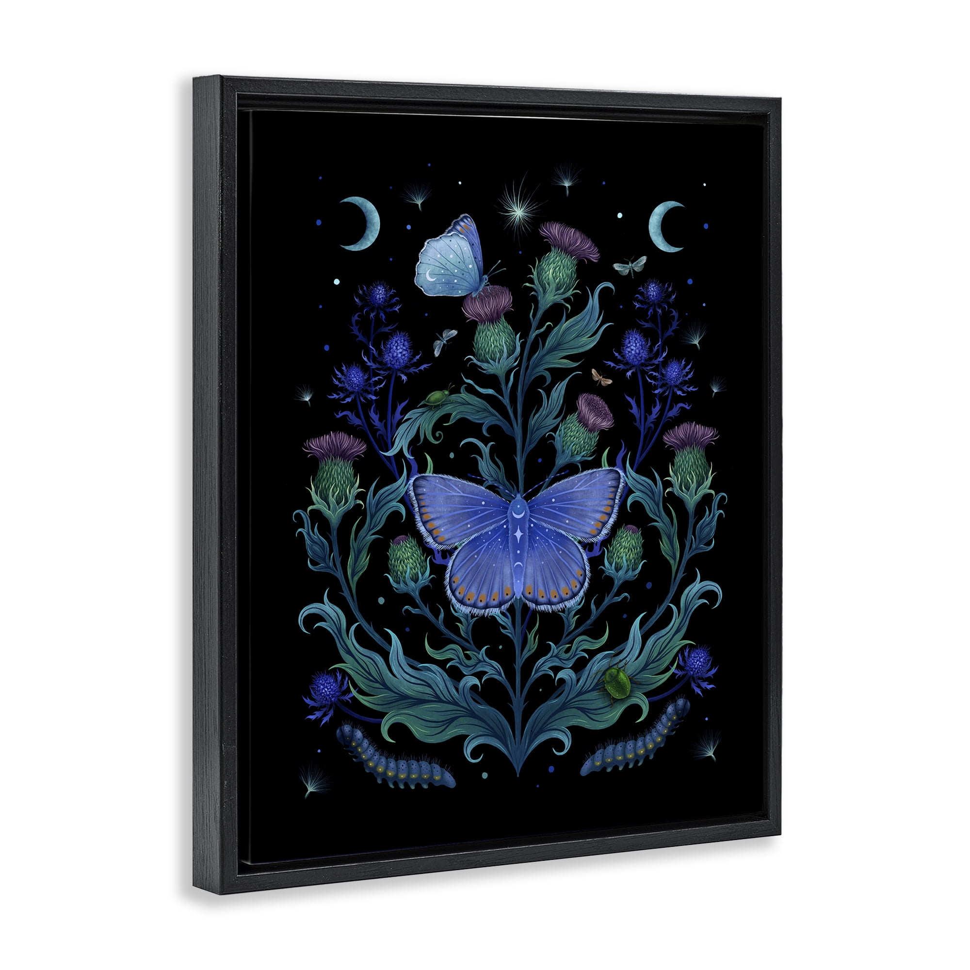 Stupell Industries Thistles & Insects at Night Black Framed Floater Canvas Wall Art, design by Episodic Drawings