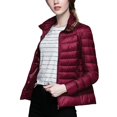 thumbnail image 3 of Chaqueta de plumón para mujer Abrigo de talla grande con cuello alto de invierno, 3 of 4