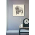 thumbnail image 3 of Epic Graffiti 'Western Bison Study' by Ethan Harper, Canvas Wall Art, 18"x18", 3 of 3
