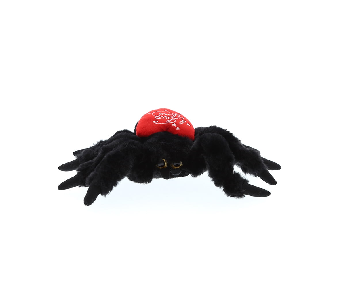 cuddly spider