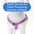 thumbnail image 6 of Pawtitas Dog Harness - Orchid - (L) Large Step in Dog Harness Training & Walking, 6 of 9